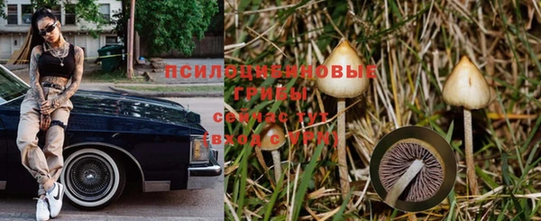 спиды Беломорск