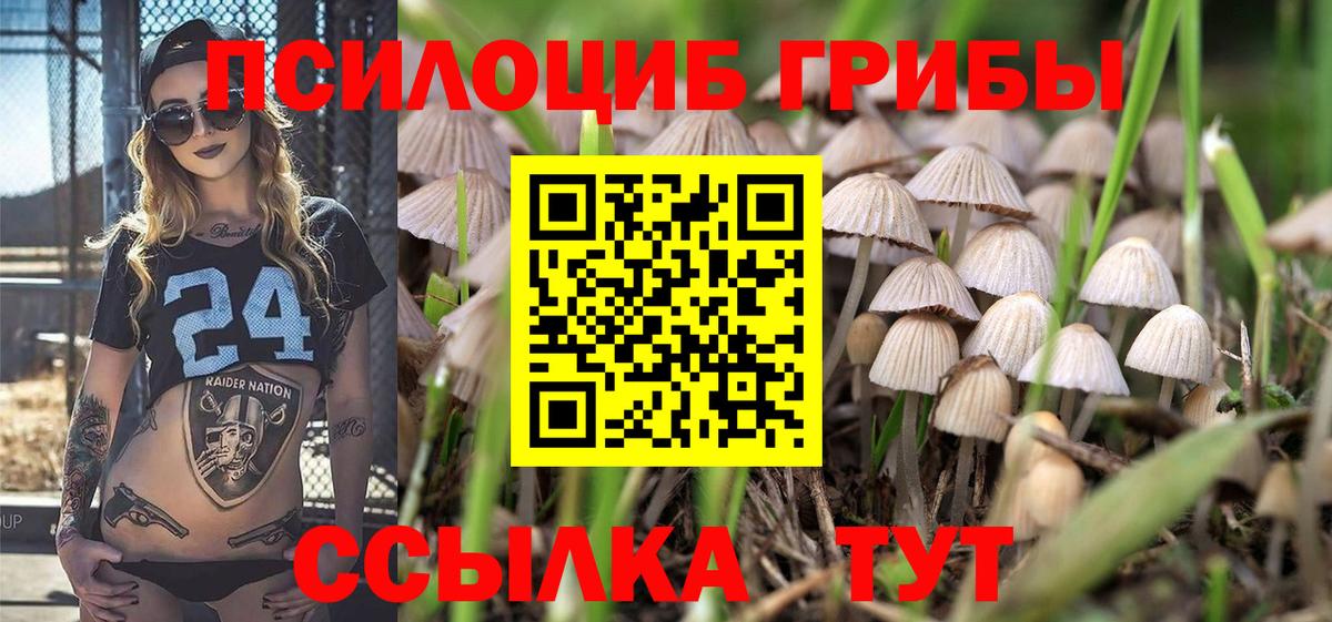 Гудермес  Псилоцибиновые грибы Magic Shrooms  Галлюциногенные грибы MAGIC MUSHROOMS  Вход с VPN 