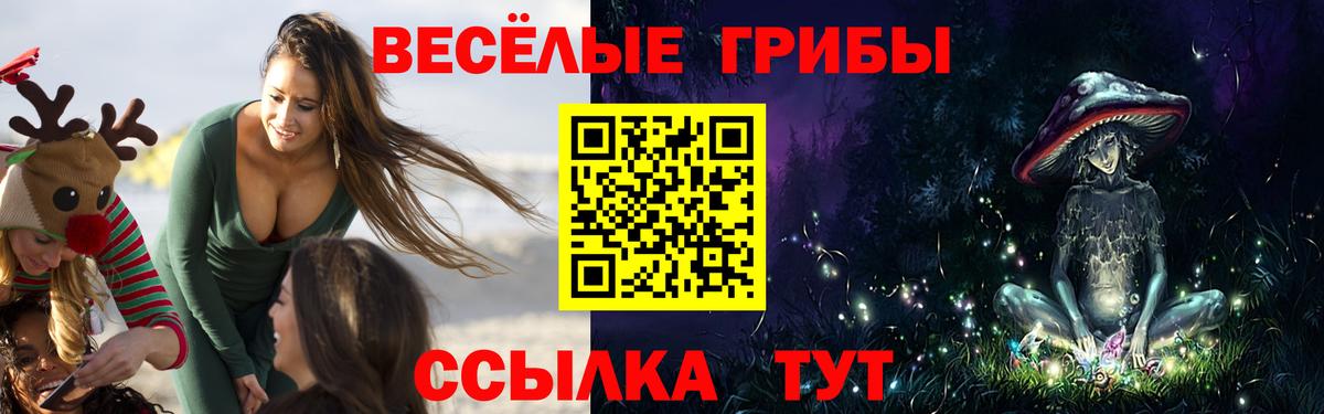 Галлюциногенные грибы мухоморы Гудермес